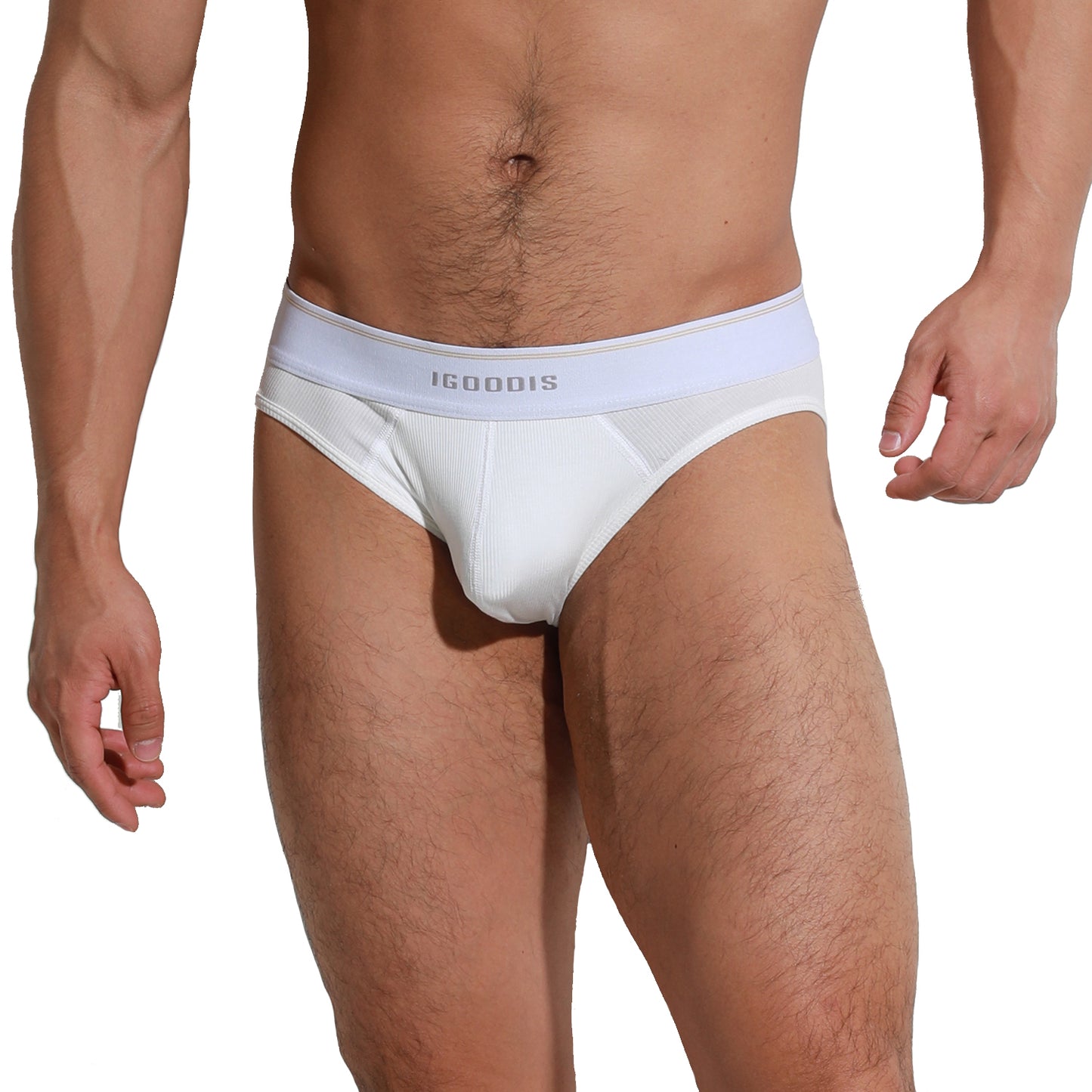 Men's Tagless Men's Underwear  Briefs  Soft Elastic Breathable Contoured Pouch Comfort U3004