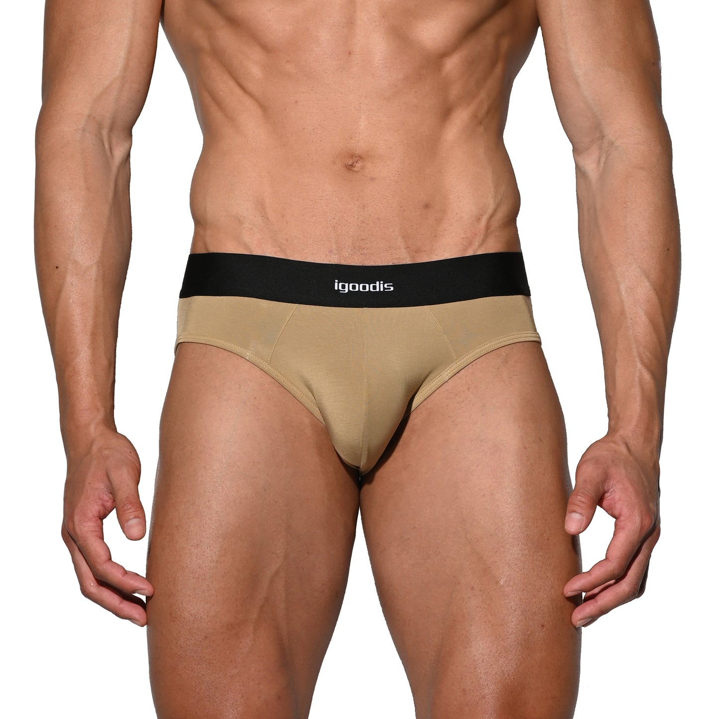 Men's Tagless Low Waist Modal Briefs - Soft Elastic Underwear for All-Day Comfort U3530