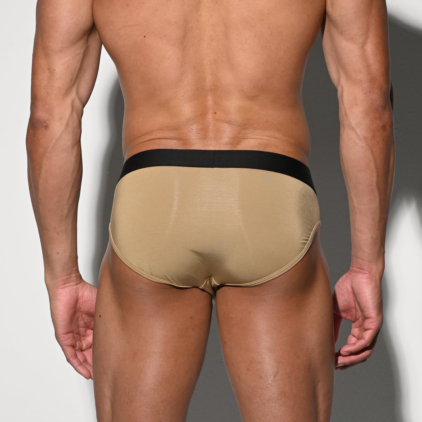 Men's Tagless Low Waist Modal Briefs - Soft Elastic Underwear for All-Day Comfort U3530