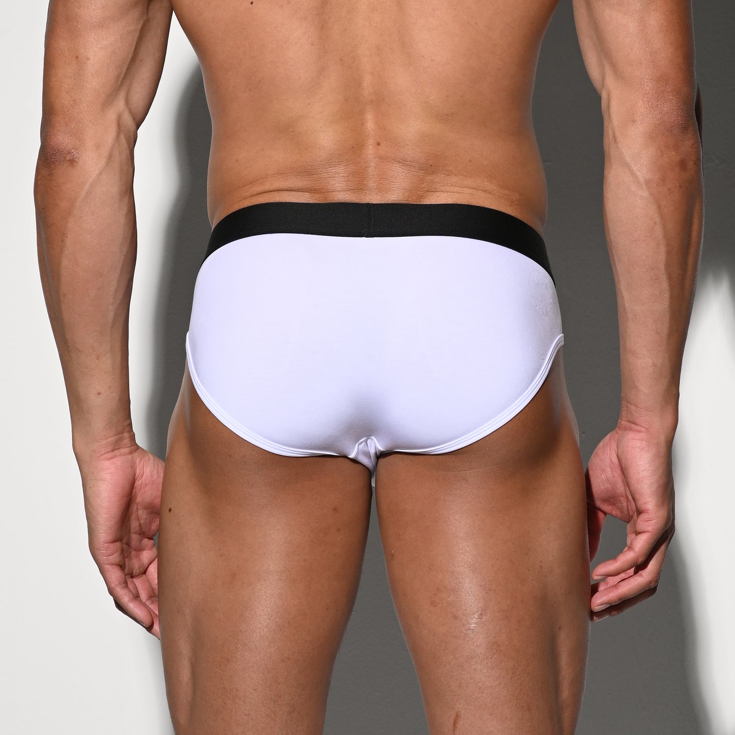 Men's Tagless Low Waist Modal Briefs - Soft Elastic Underwear for All-Day Comfort U3530