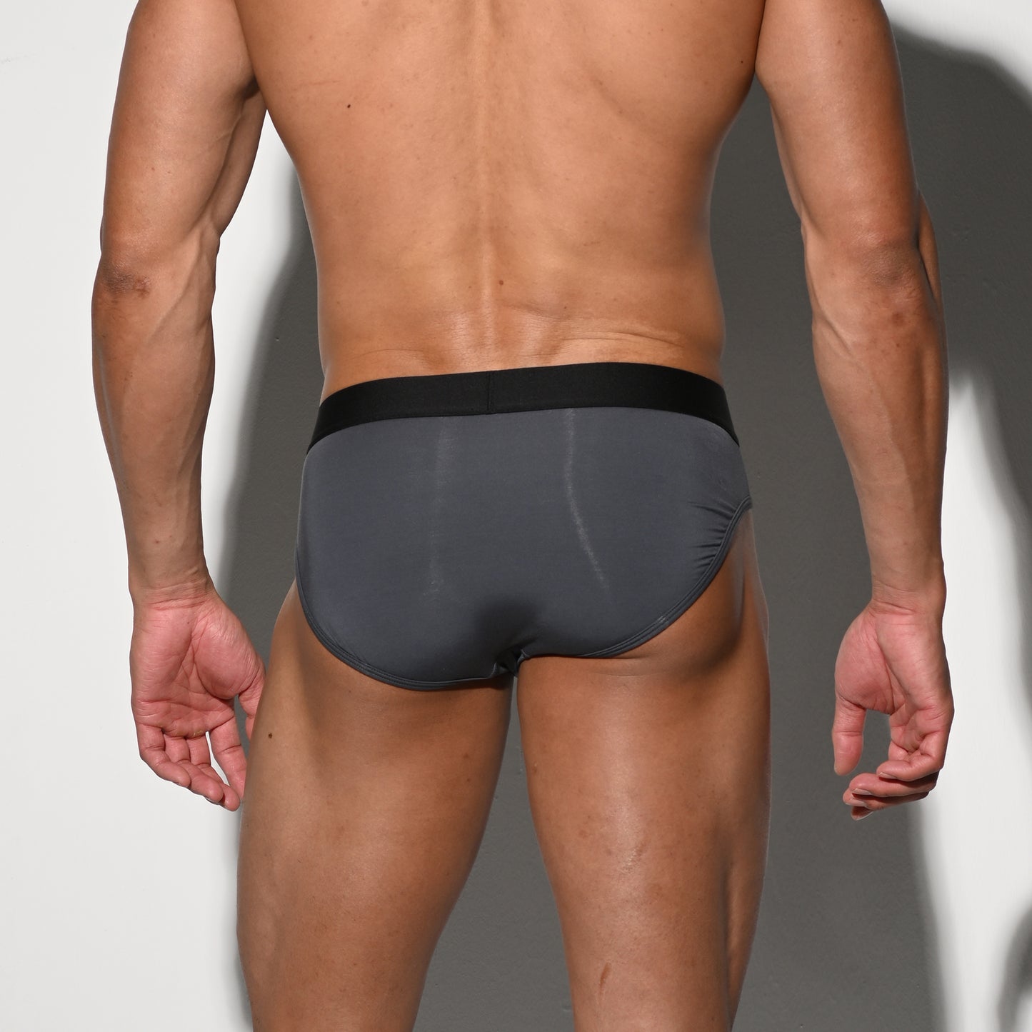 Men's Tagless Low Waist Modal Briefs - Soft Elastic Underwear for All-Day Comfort U3530