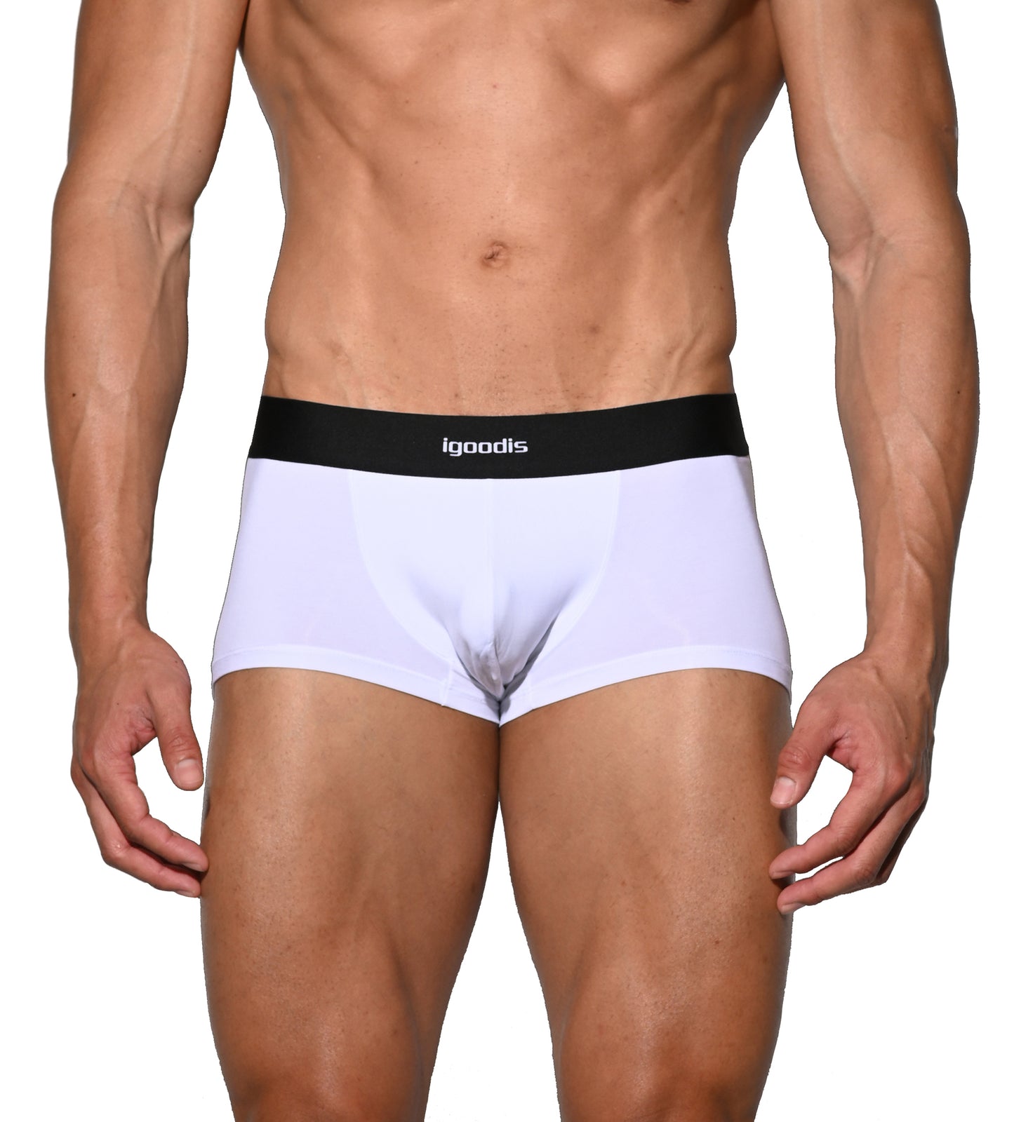Men's Tagless Low Waist Modal Boxer Briefs Soft Elastic Underwear for All-Day Comfort U4531
